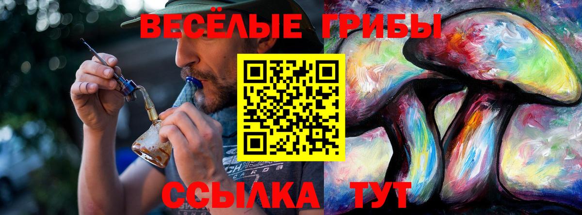 Галлюциногенные грибы Magic Shrooms  наркошоп  Мыски  Вход с VPN 